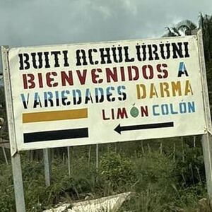 Team Page: Team Limón!